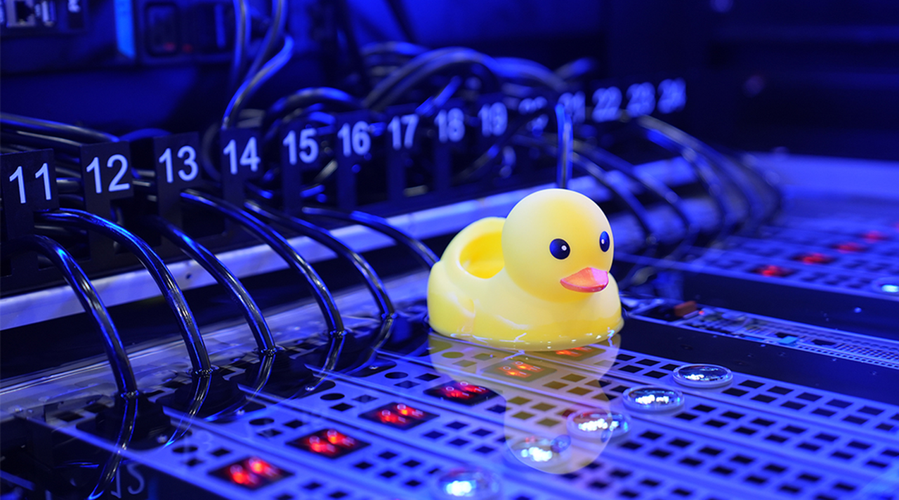 Image Duck | Kixx Newsroom A rubber duck floating on Kixx immersion cooling fluid on data center servers.